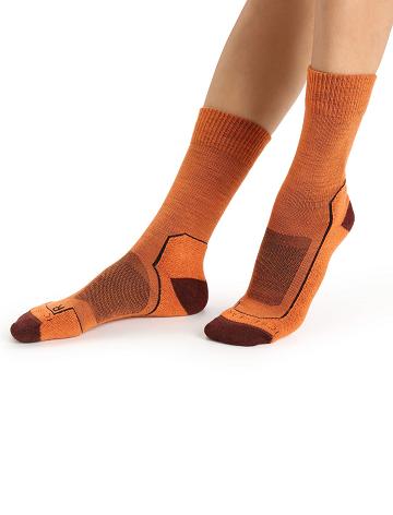 Women's Icebreaker Merino Hike+ Light Crew Socks Flash / Espresso | CA 1523QMAZ